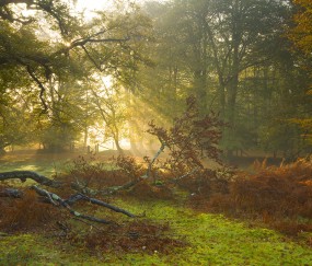 福州正规捐卵机构有哪些，附捐卵生子助孕价格一览表！