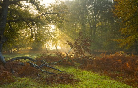 福州正规捐卵机构有哪些，附捐卵生子助孕价格一览表！