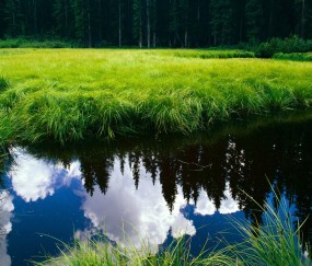 移植囊胚可以移植两个吗（试管囊胚能移植两个吗）