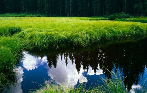 睾丸穿刺取精做几代试管