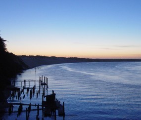 50岁做试管婴儿成功率有多少（50岁做试管婴儿成功率是多少）