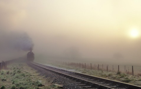 想生男孩子应该吃什么